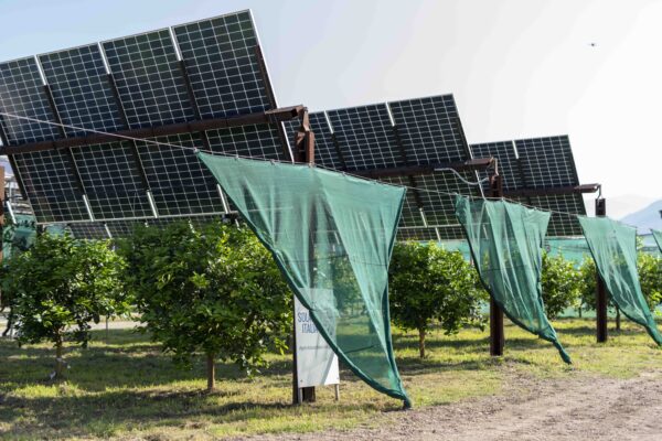 Prototipo di impianto agrivoltaico a Scalea (CS).